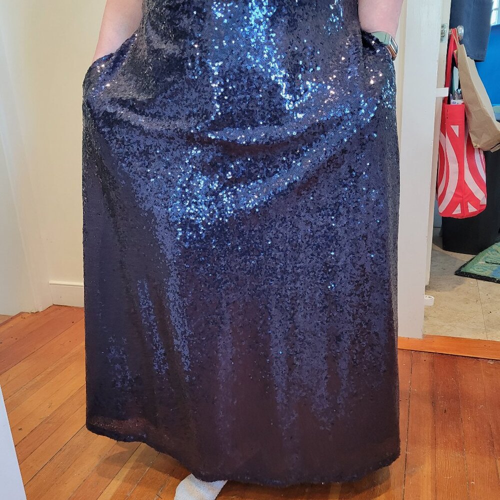 Amazing Navy Sequin Maxi Skirt, 2xp, Joan Rivers